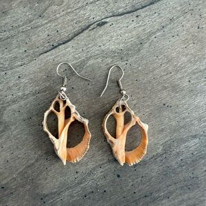 Natural Shell Earrings